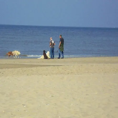 Duinpark De Witte Raaf Plevier * Noordwijk