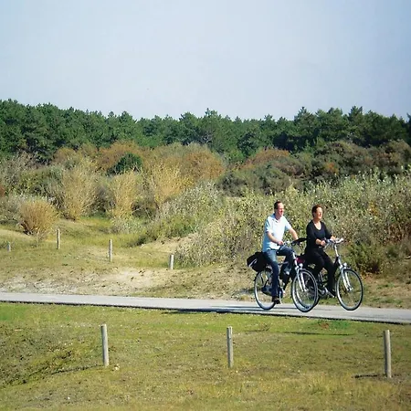 Duinpark De Witte Raaf Plevier Noordwijk